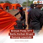 Brimob Polda NTT Gerak Cepat, Bantu Korban Erupsi Gunung Lewotobi IMG-20241118-WA0168