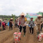 Polres Tebo Bersama Pemda Tanam Jagung Serentak Dukung Ketahanan Pangan IMG-20250121-WA0038