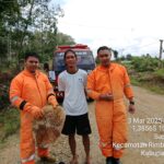 Serang Enam Warga, Pos Damkar Rimbo Bujang Musnahkan Sarang Tawon Madu di Desa Sapta Mulia IMG-20250303-WA0046