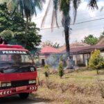 BREAKING NEWS: Pohon Sawit di Depan SD Negeri Jalan Trenggalek Terbakar, Pos Damkar Rimbo Bujang Terjunkan Armada 3.000 Liter IMG-20260715-WA0047