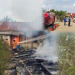 Tanpa Jeda! Usai Padamkan Kebakaran dan Isi MPLS, Damkar Rimbo Bujang Lanjut Evakuasi Tawon Malam Ini IMG-20260718-WA0098